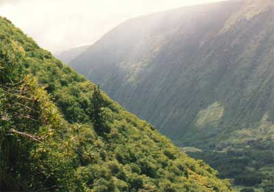 A view upvalley