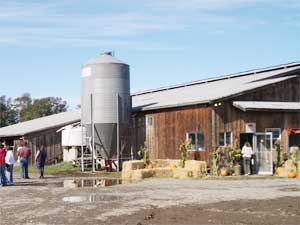 Dungeness Valley Farm and Creamery