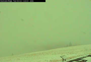 First Snow at Hurricane Ridge