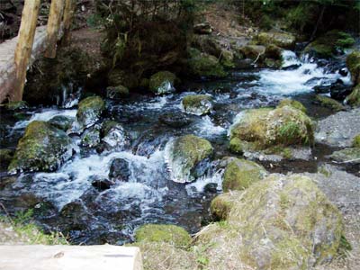 Icy Waters on the Lake Angeles Trail