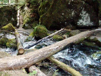 Icy Waters on Lake Angeles Trail