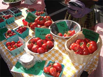 Last Tomatoes of the Summer