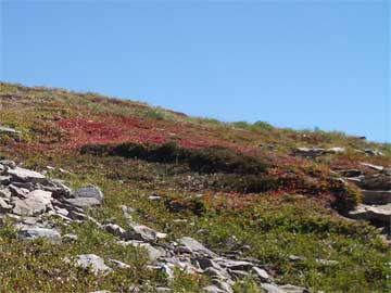Obstruction Point fall foliage