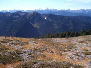The blue glacier from Obstruction Road