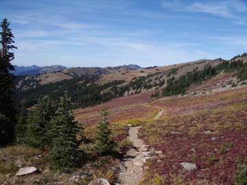 Autumn color at Obstruction Point