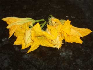 Pumpkin flowers