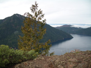 View from Storm King