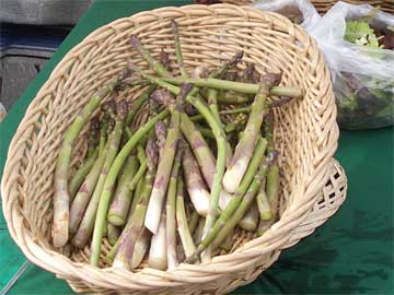 Asparagus