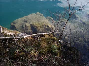 Crystal clear Lake Crescent water