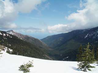 Still Snowshoeing