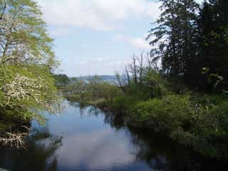 View of Lake Ozette
