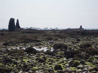 Seastacks at Cape Alava