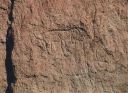 Bandelier Petroglyph 1