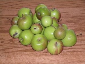 Great Green Pie Apples
