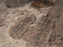 Hawaiian Petroglyphs 15