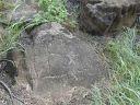 Hawaiian Petroglyphs 2
