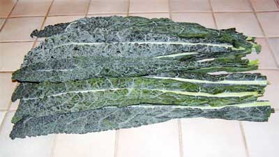 Lacinato or Dinosaur Kale