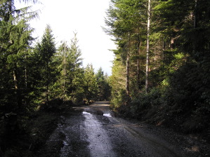 New Road At Striped Peak