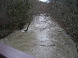 Even higher water at Morse Creek