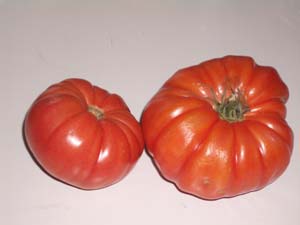 Ugly Ripe Tomatoes