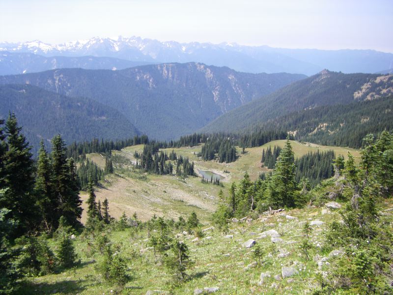 Kaleberg Archive for Keyword: hurricane ridge, Page: 3