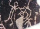 Mortidad Petroglyph 3