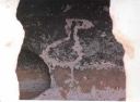 Mortidad Petroglyph 6