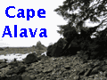 Hike Cape Alava